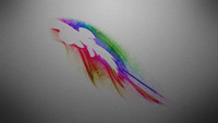 MLP:FiM Rainbow Dash Wallpaper