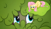 Fluttershy wallpaper (full resolution pack inside)