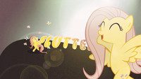 Fluttershy loves the sun