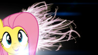 Fluttershy burst 2