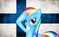 We salute Finland