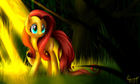 Fluttershy [2]