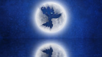 The Rise of Luna