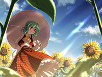 Kazami Yuuka