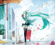 miku 14th